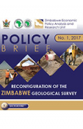 policy brief